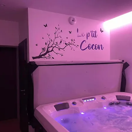 Appartement 3 Etoiles Avec Grand Jacuzzi Prive *