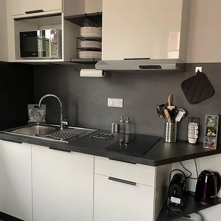 3 Etoiles Avec Grand Jacuzzi Prive Horbourg