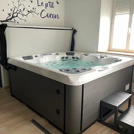 3 Etoiles Avec Grand Jacuzzi Prive Lejlighed Horbourg