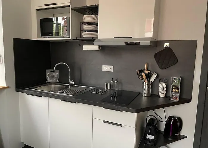 3 Etoiles Avec Grand Jacuzzi Prive Horbourg