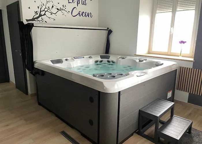 3 Etoiles Avec Grand Jacuzzi Prive Lejlighed Horbourg