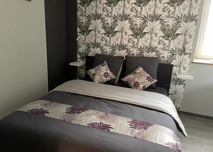 3 Etoiles Avec Grand Jacuzzi Prive Appartement